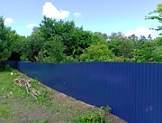 Берёзовая Грива 2025