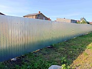 Забор из оцинковки между участками 2025